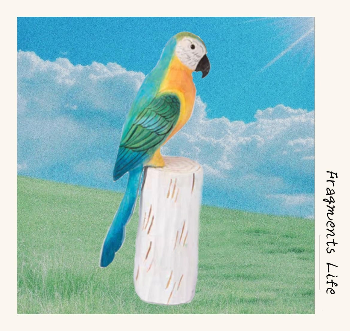 Home decoration and healing style - Pocket-Sized Serenity bird