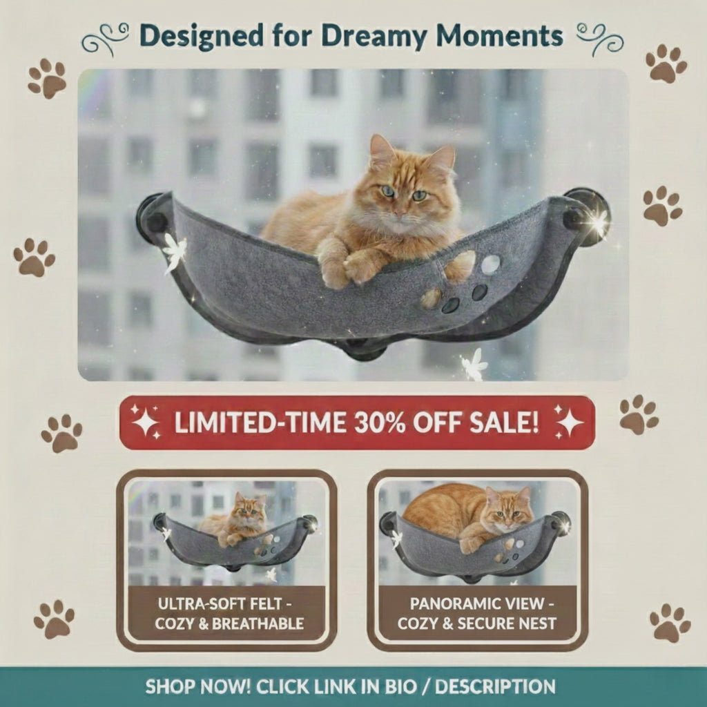 ✨ Zero-G Rune-Lock Cat Perch | The Fluffy Viewing Disc