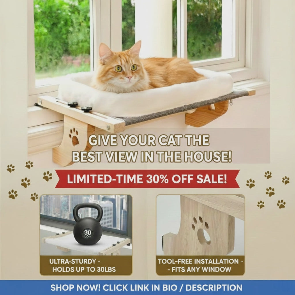 ✨ EliteView™️ - No-Drill Wooden Cat Window Perch - A magical throne for his daily kingdom watch.
